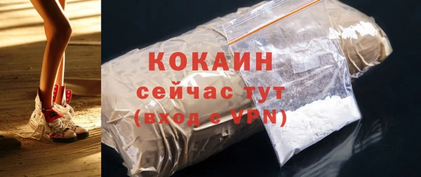 дмт Дмитриев