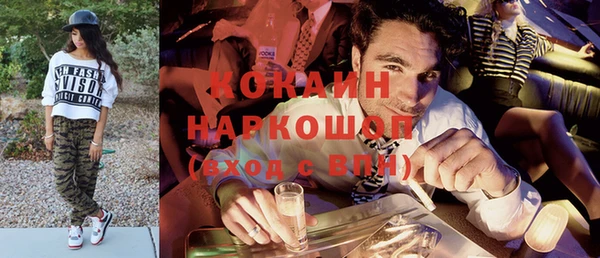 дмт Дмитриев