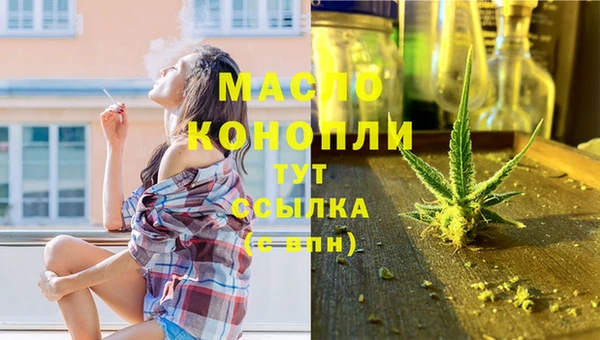 дмт Дмитриев