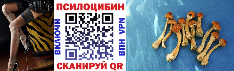 блэк спрут рабочий сайт  Плавск  Псилоцибиновые грибы MAGIC MUSHROOMS 